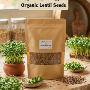 عدس عضوي - Lentil Seeds