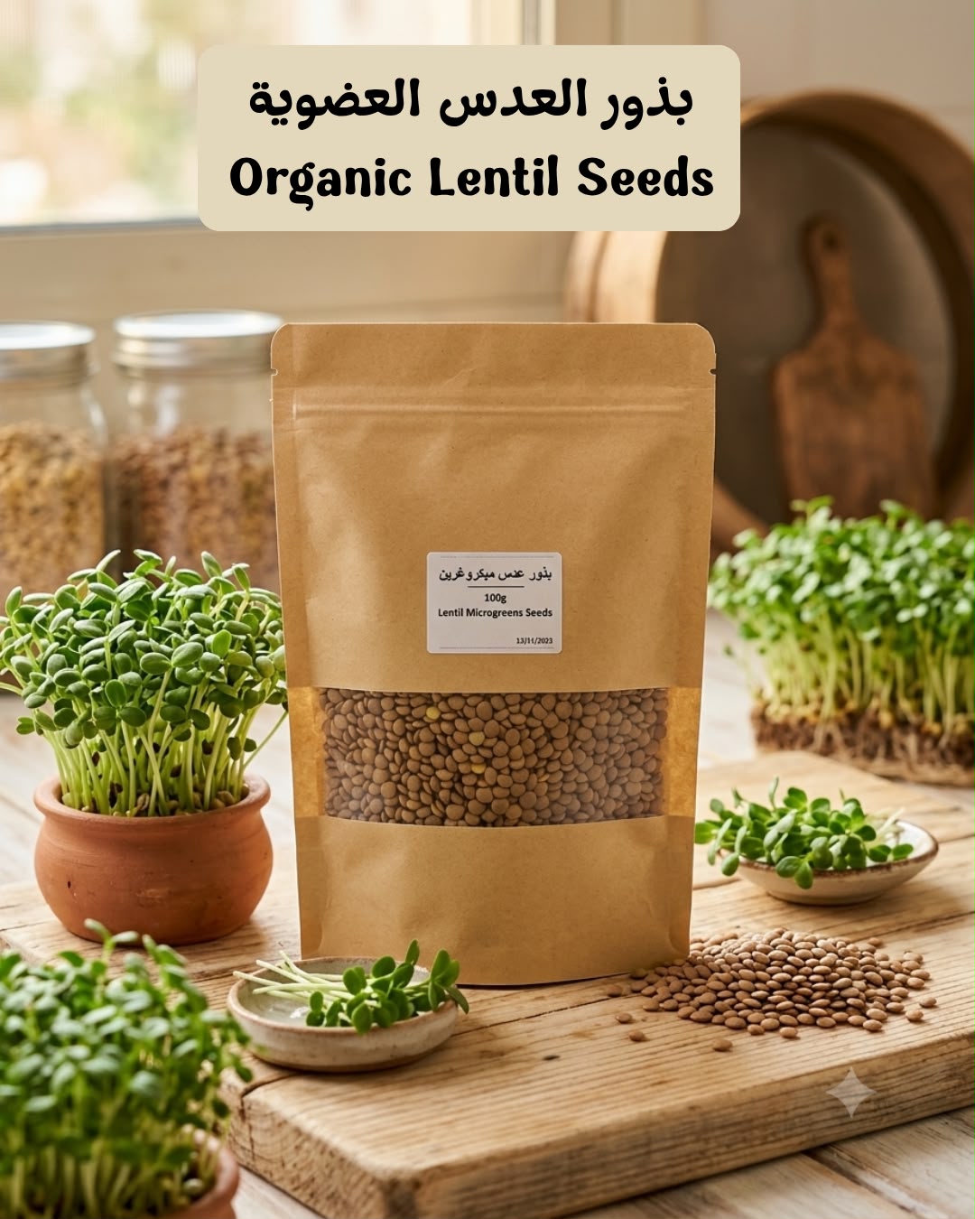 عدس عضوي - Lentil Seeds