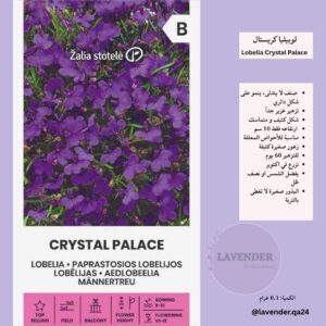 لوبيليا كرستال بالاس- Lobelia Crystal Palace
