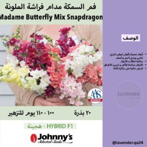 فم السمكة مدام فراشة- Madame Butterfly Snapdragon Mix