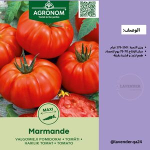 طماطم مارماند - Marmande Tomato