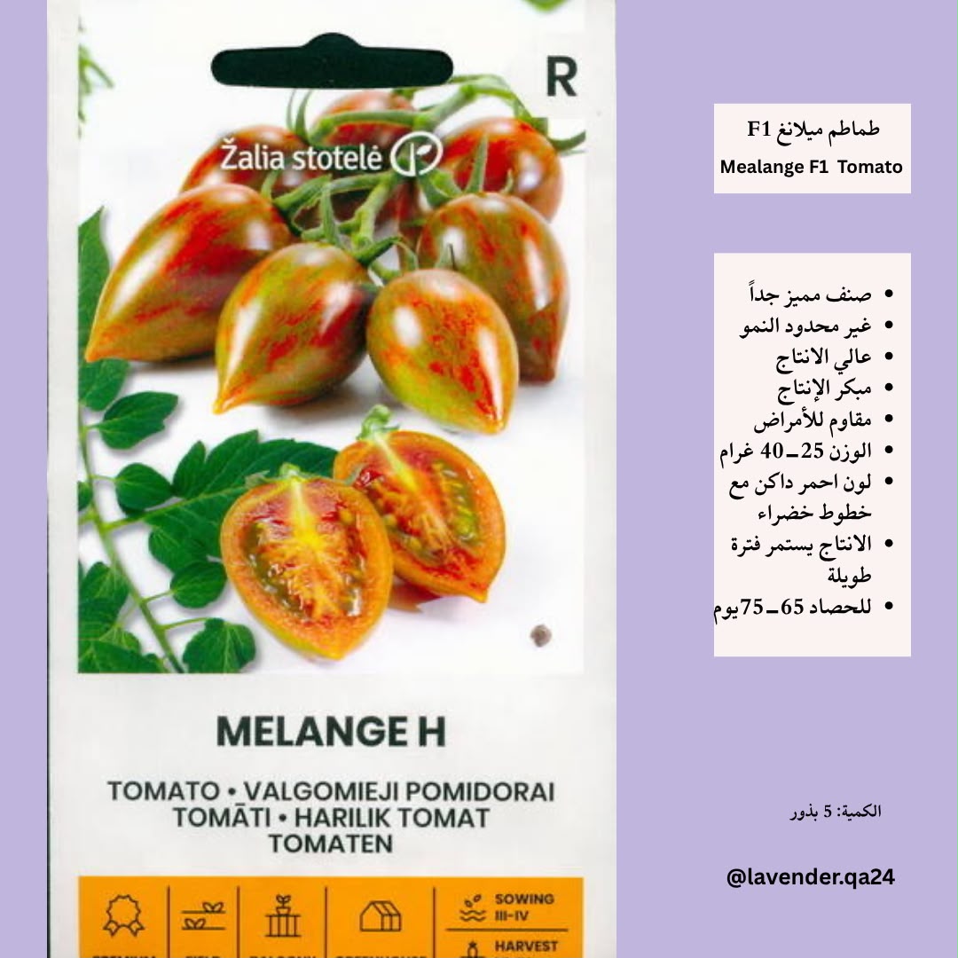 طماطم ميلانغ - Melange Tomato F1