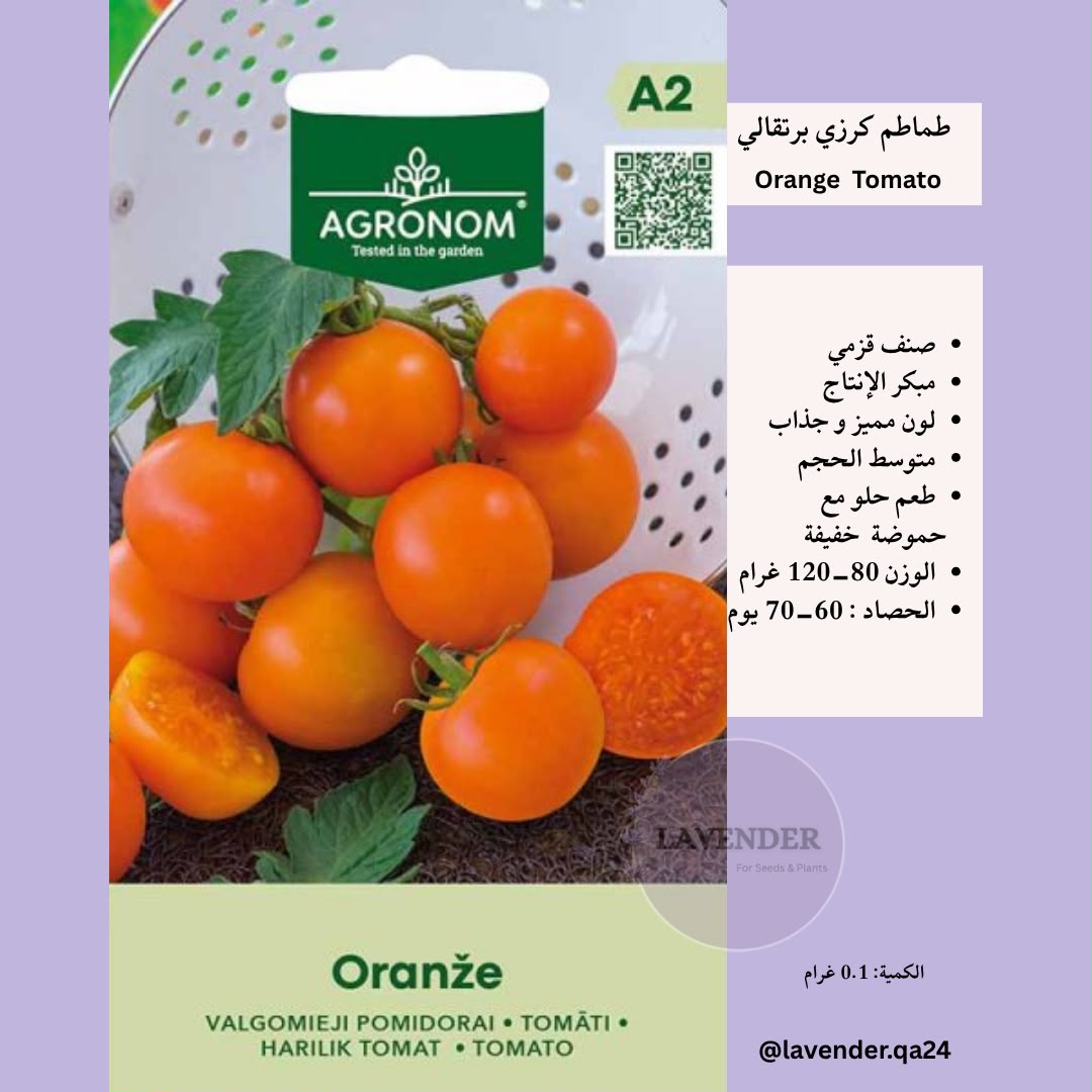 طماطم كرزي برتقالي- Orange Cherry Tomato
