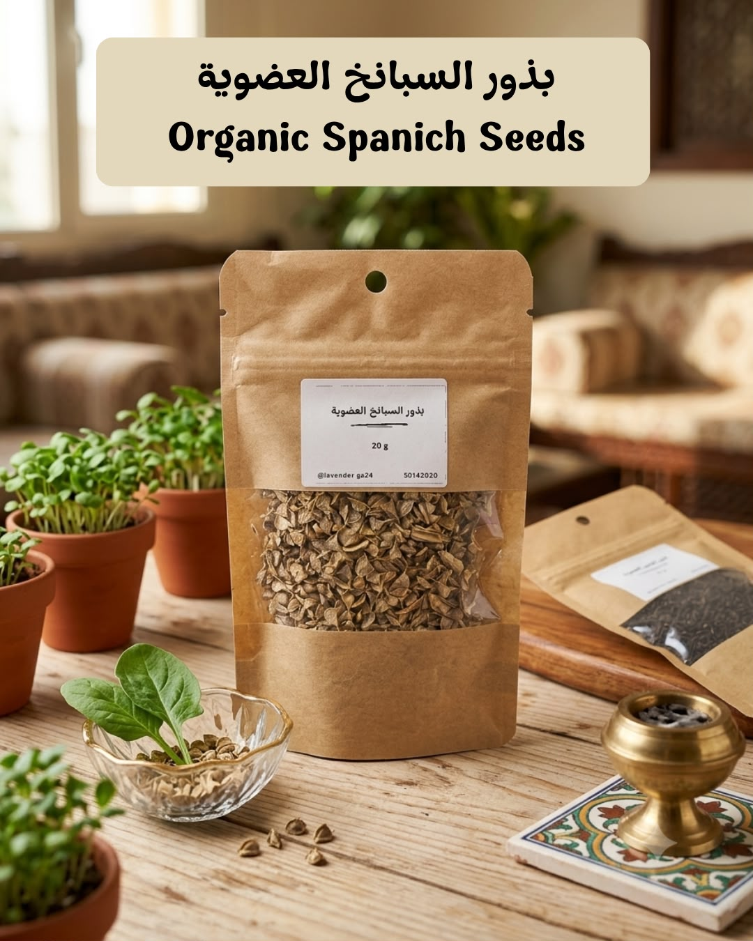 ميكروغرين السبانخ - organic spanich seeds