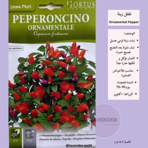 فلفل الزينة - Ornamental Pepper