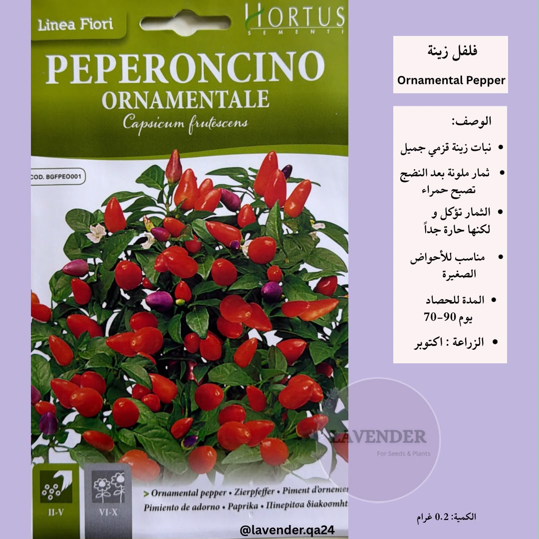 فلفل الزينة - Ornamental Pepper