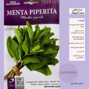 نعناع فلفلي- Pepper mint