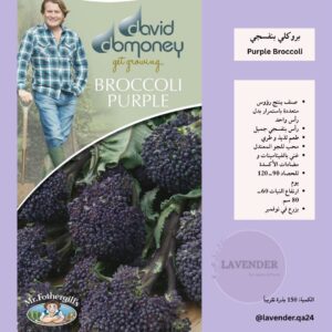 بروكلي بنفسجي- Purple Broccoli