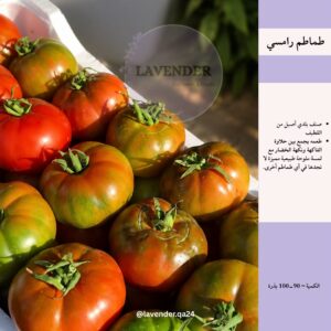 طماطم رامسي - Heirloom Tomato
