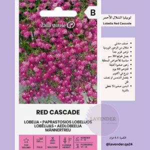 لوبيليا الشلال الأحمر - Lobelia Red Cascade