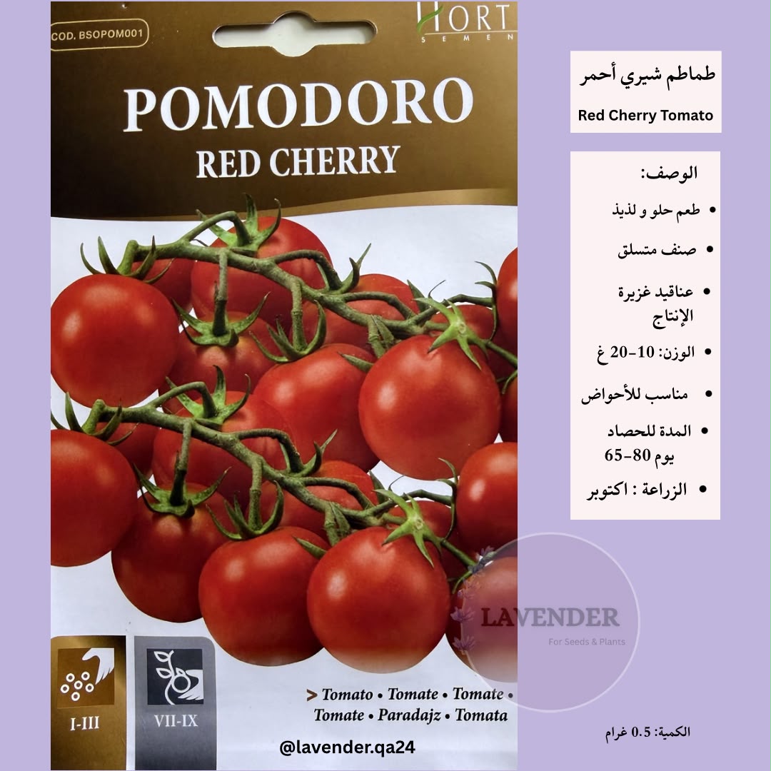 طماطم شيري احمر -Red Cherry Tomato