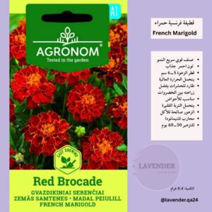 قطيفة فرنسية حمراء- French Marigold Red