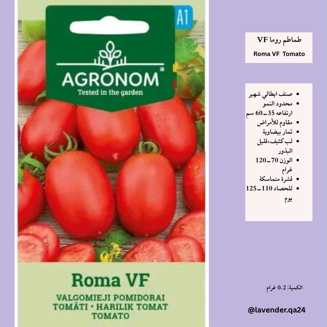 طماطم روما - Roma VF Tomato