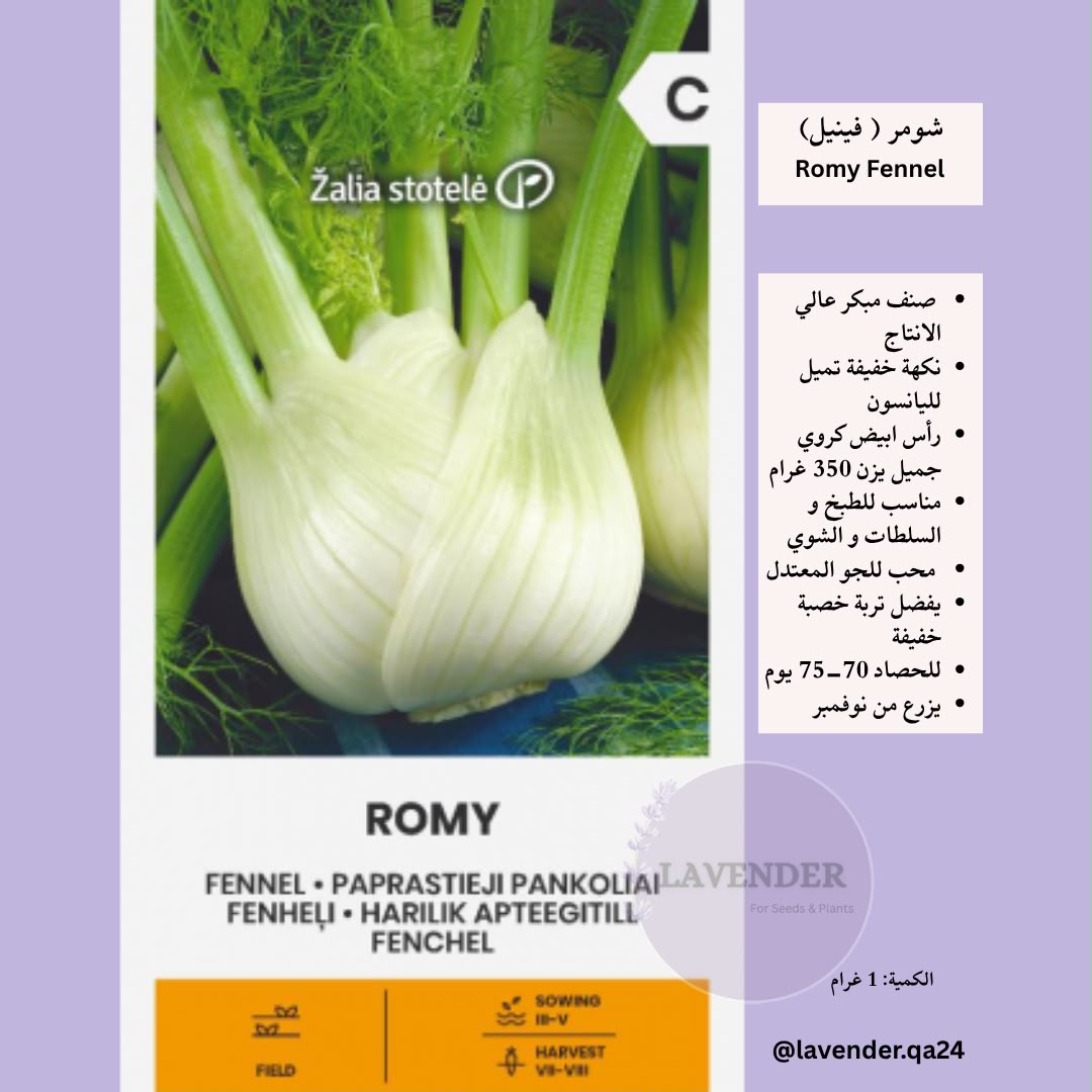 شومر ( فينيل)- Romy Fennel