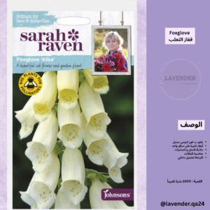 قفاز الثعلب - Foxglove
