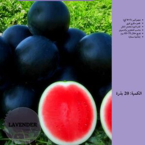 بطيخ أحمر Big Boss F1