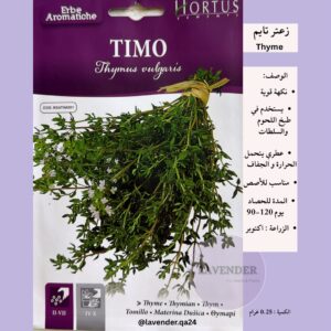 زعتر تايم - Thyme Oregano