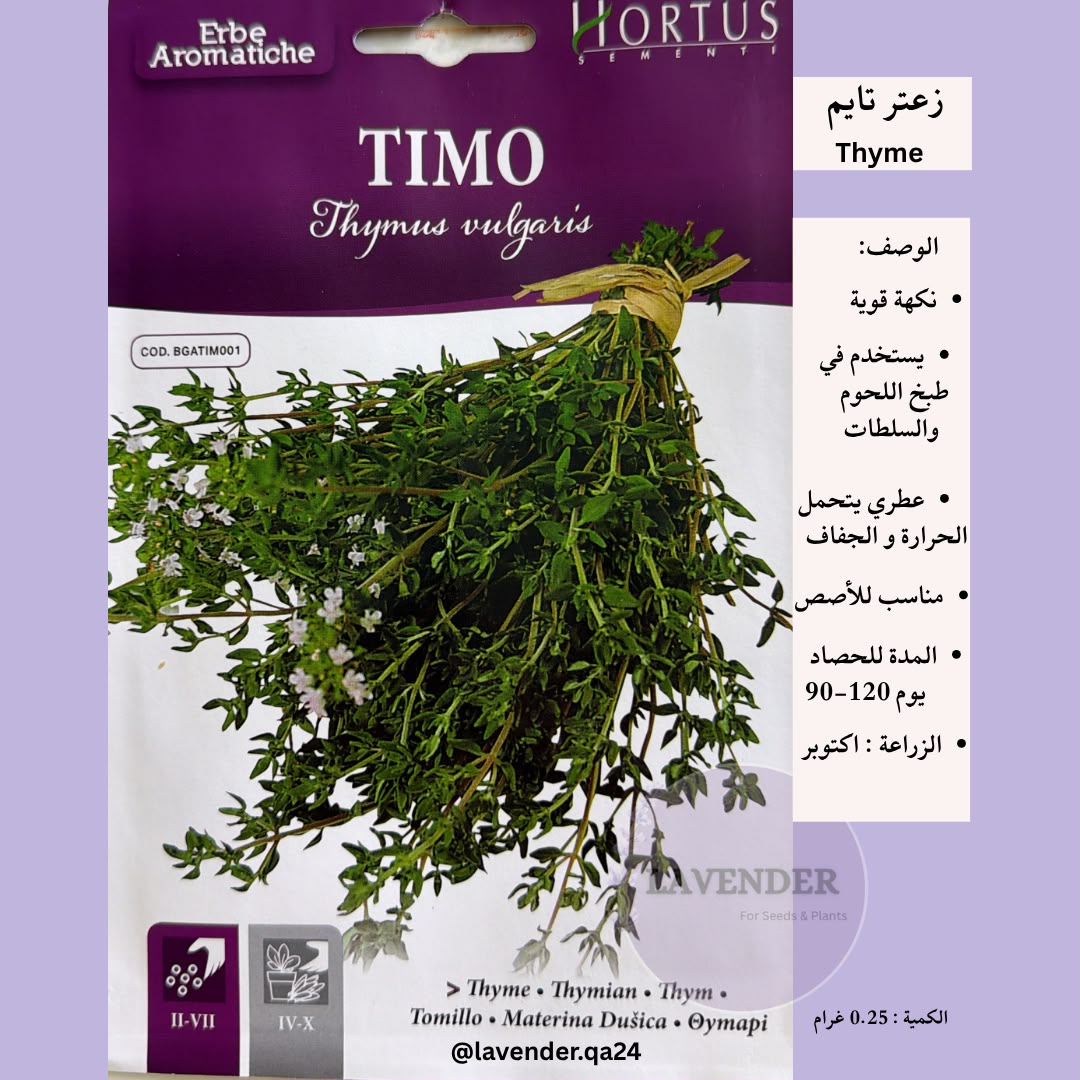 زعتر تايم - Thyme Oregano
