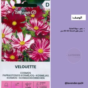 كوزموس Velouette