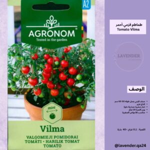 طماطم قزمي احمر فيلما - Vilma Tomato