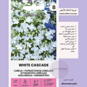 لوبيليا الشلال الأبيض- Lobelia White Cascade