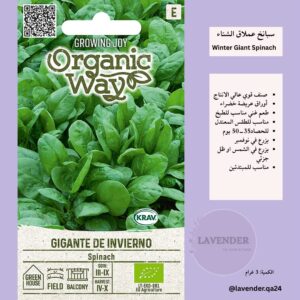 سبانخ عملاق الشتاء- Winter Giant Spinach